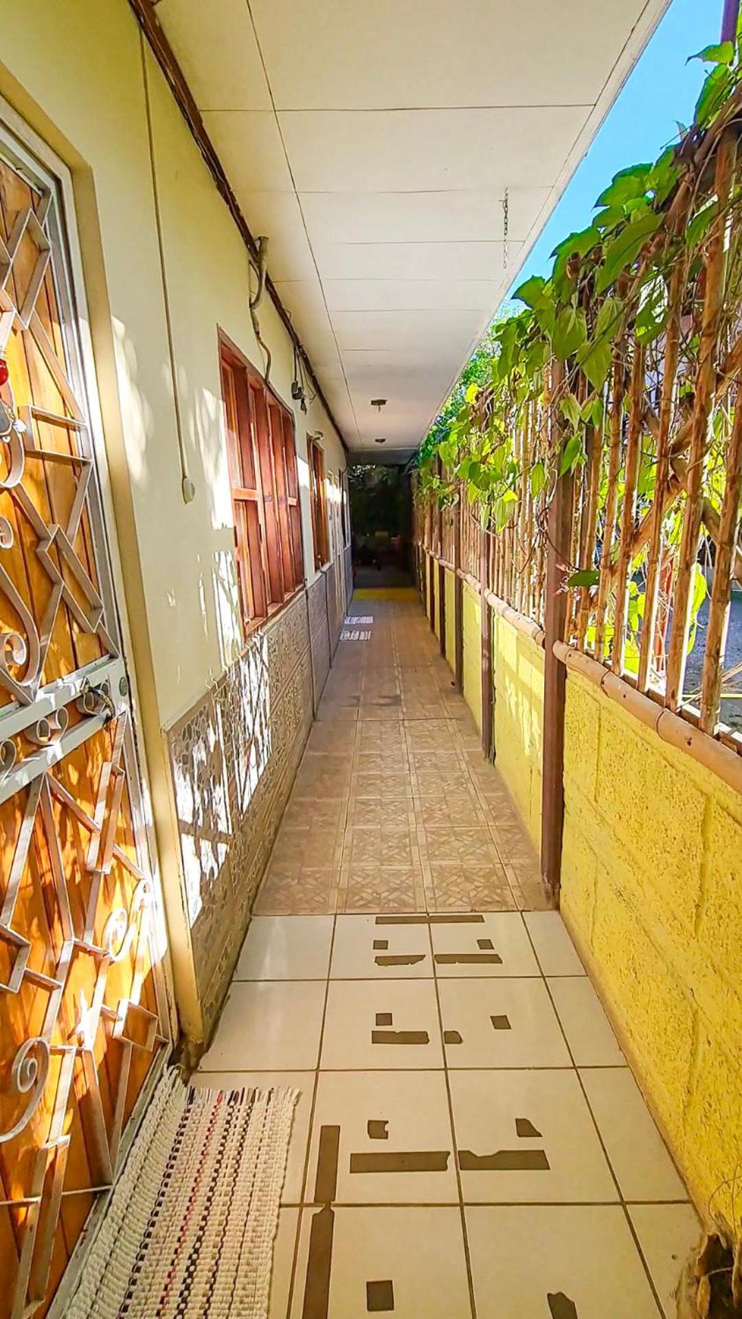 Cabinas Coco Alegre Εξωτερικό φωτογραφία