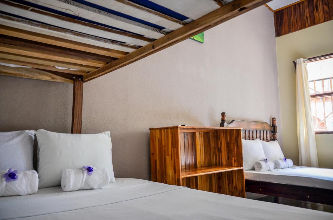 Cabinas Coco Alegre Εξωτερικό φωτογραφία